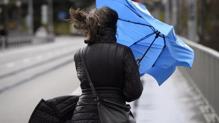 В Ставрополе ограничат работы на высоте во время ураганного ветра