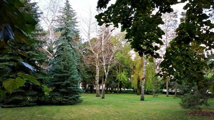 На Ставрополье активисты экопроекта «Субботник» заботятся о чистоте природы