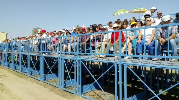 В селе Новоселицком прошли конноспортивные состязания на кубок губернатора края