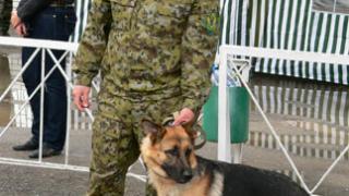 Ставропольские кинологи стали лучшими на соревнованиях в Ростове-на-Дону