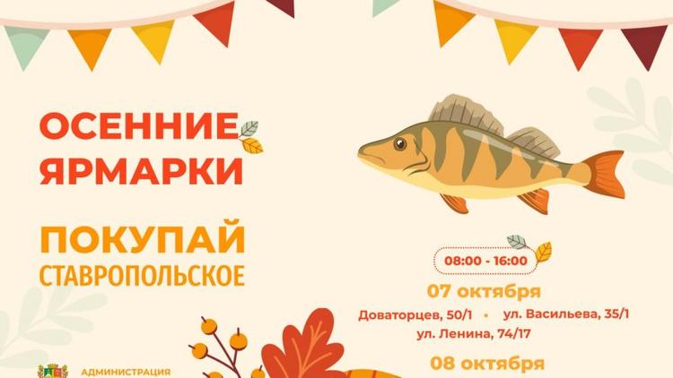 Четыре ярмарки развернутся в Ставрополе на выходных