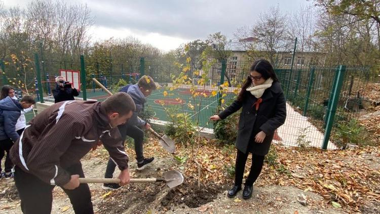 В Железноводске старшеклассники высадили аллею к юбилею Великой Победы