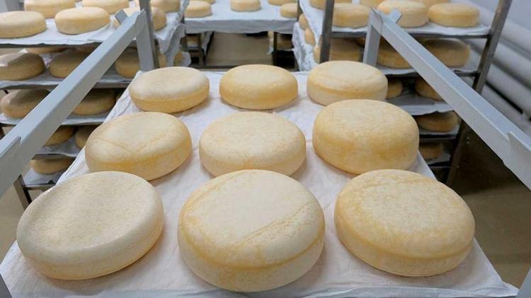 Ставрополье стало победителем выставки продуктов питания «Продэкспо»