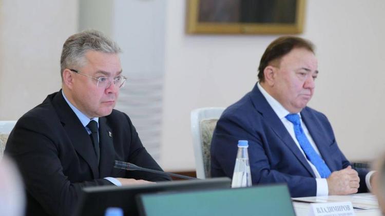 Губернатор Владимиров принял участие в совещании Совбеза РФ