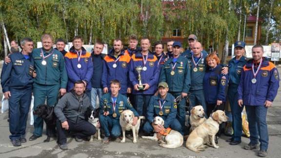 Северокавказские кинологи признаны лучшими в стране