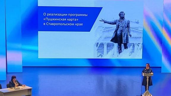 Актуальные вопросы жизни отрасли обсудили деятели культуры Ставрополья 