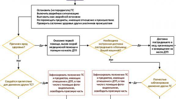 На сайте ГАИ появился алгоритм действий водителей, попавших в ДТП