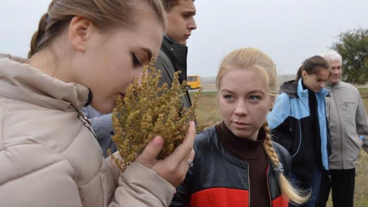 Научно-краеведческая конференция в селе Дивном: говорили про экологию и советскую власть