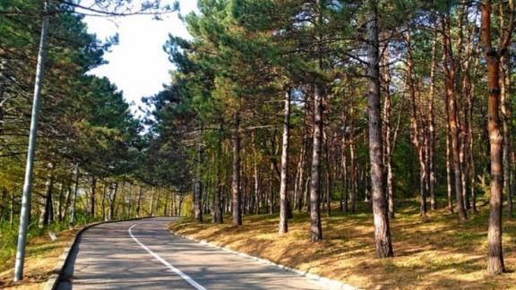 Спортсмены из 70 городов России пробегут по «Пятигорскому кольцу»