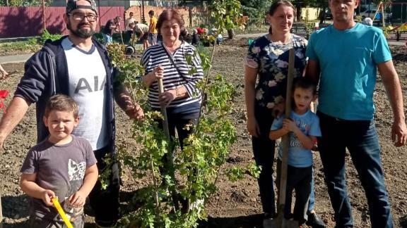 В новом сквере Минераловодского округа высадили 23 клёна