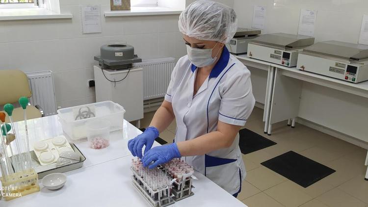 Ветеринарная безопасность нового формата:
как на Ставрополье предупреждают болезни животных