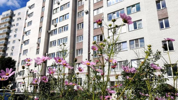Ставропольцам разъяснили, кто должен косить траву около многоэтажек