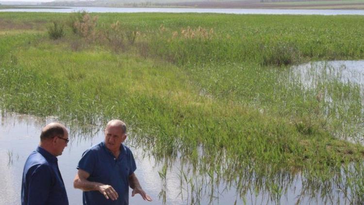 Кубанская вода пришла в Туркменский округ Ставрополья