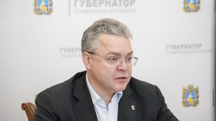 Губернатор Владимиров дал поручения по запуску проекта «Кадры Ставрополья»