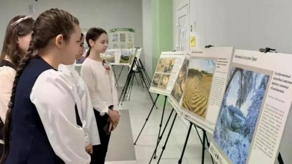 Ставропольских школьников знакомят с памятниками природы 