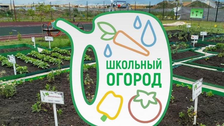 Первый школьный огород создадут в Железноводске