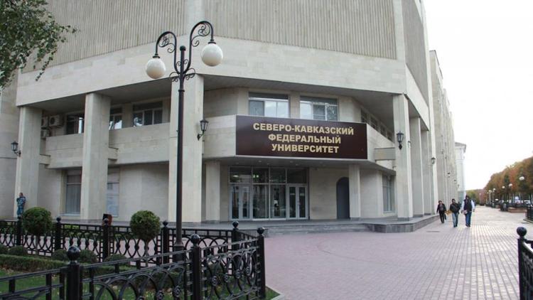 Первая на Юге России Школа языков мира откроется на Северном Кавказе