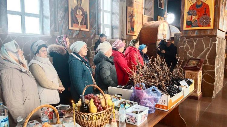 На Ставрополье во время празднования Дня Трифона символически обрезали лозу