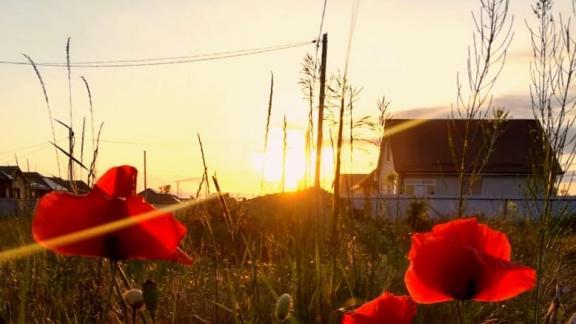 Пыльную бурю и жару в 40 градусов ожидают на Ставрополье
