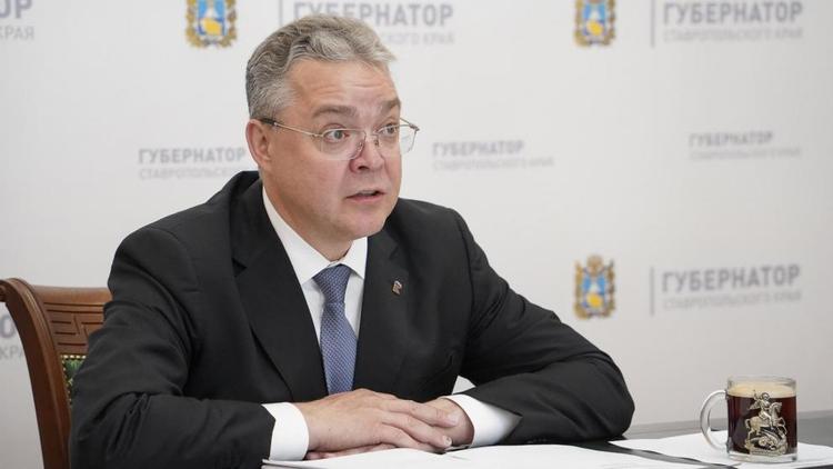 Губернатор Владимиров призвал глав территорий вести ремонт дорог активными темпами