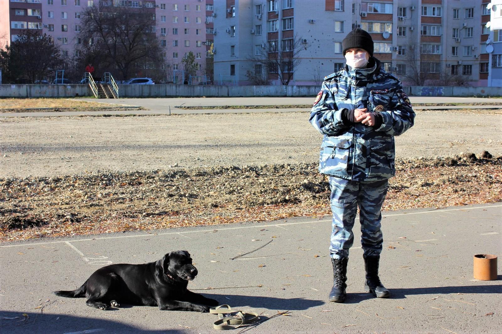 В Невинномысске полицейские кинологи продемонстрировали кадетам мастерство  служебных собак | Ставропольская правда