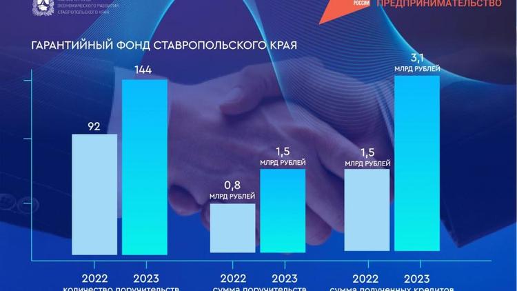 Гарантийный фонд Ставрополья оказывает поддержку начинающим предпринимателям