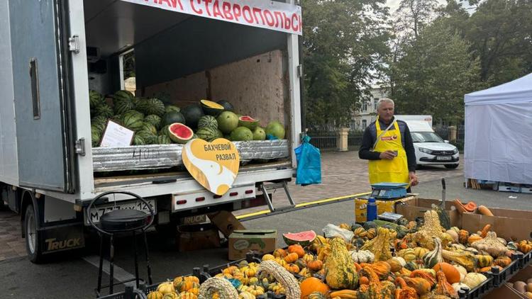 Около 28 тысяч ярмарок прошло на Ставрополье с начала года