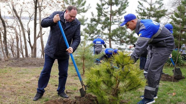 Работники «Газпром трансгаз Ставрополь» провели экологическую акцию