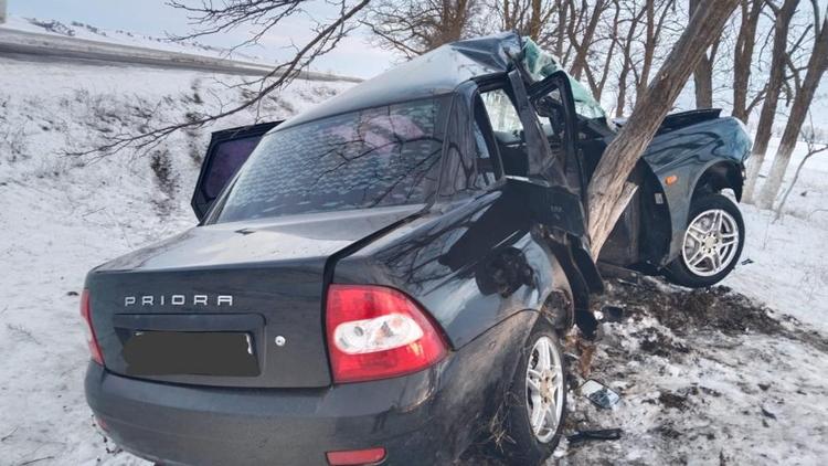 Водитель легковушки врезался в дерево в Ипатовском округе Ставрополья