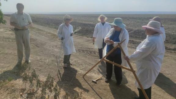 Ставрополье участвует в Национальной программе действий по борьбе с опустыниванием