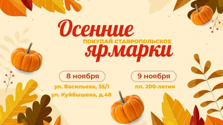 Три ярмарки выходного дня пройдут в Ставрополе на выходных 8 и 9 ноября