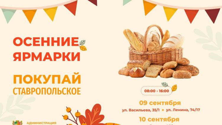 Четыре ярмарки развернутся на выходных в Ставрополе