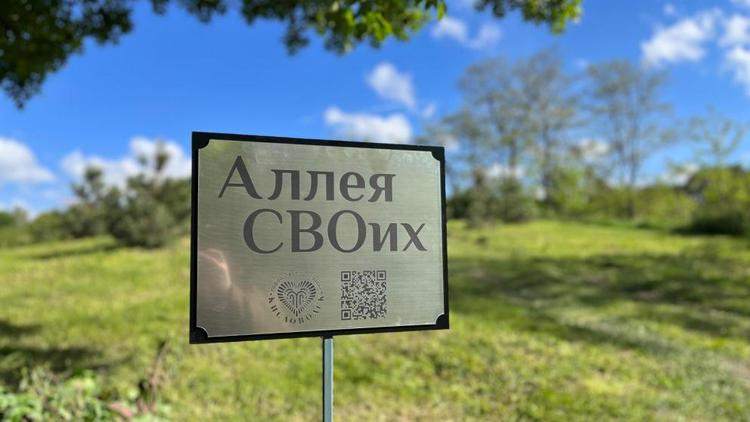 Кленовую аллею в честь участников СВО высадили в Кисловодске