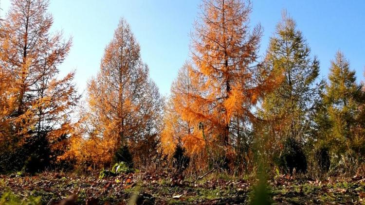 Ещё одна охраняемая природная территория появилась на Ставрополье