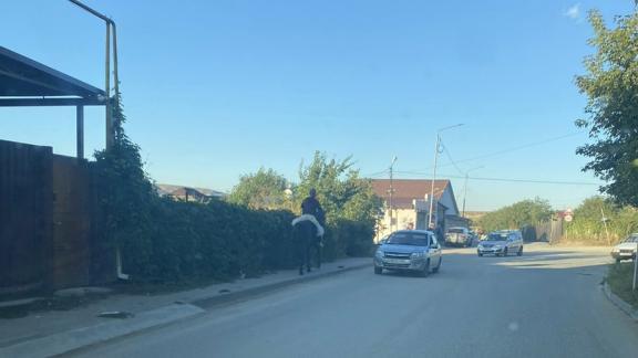Пьяного всадника заметили на пешеходной дороге в Кисловодске