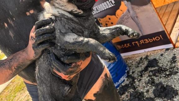 В Железноводске на фестиваль грязи завезут 60 тонн тамбуканских запасов