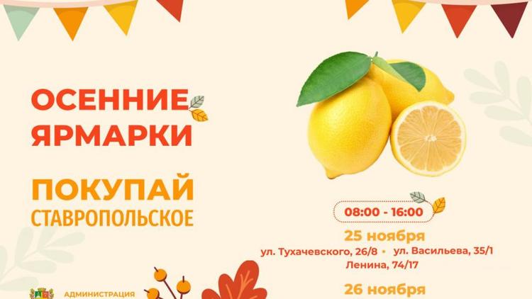 Четыре ярмарки выходного дня пройдут в Ставрополе
