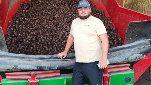 В Предгорном округе собрали более 1,5 тысячи тонн моркови и свёклы