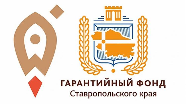 Предприниматели Ставрополья могут получить господдержку Гарантийного фонда