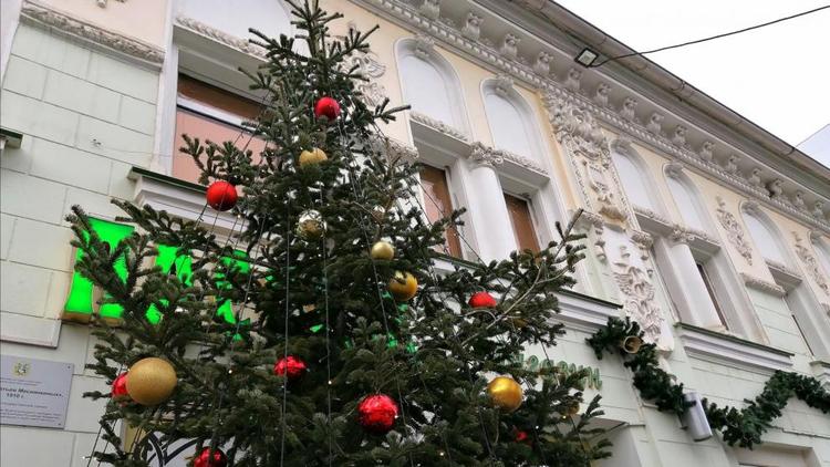 Экологическая акция по сбору елок и ненужных вещей пройдет в Ставрополе
