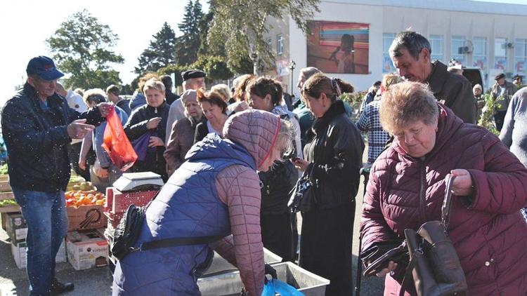 В Кочубеевском округе сельхозярмарку посетили свыше 9 тысяч человек