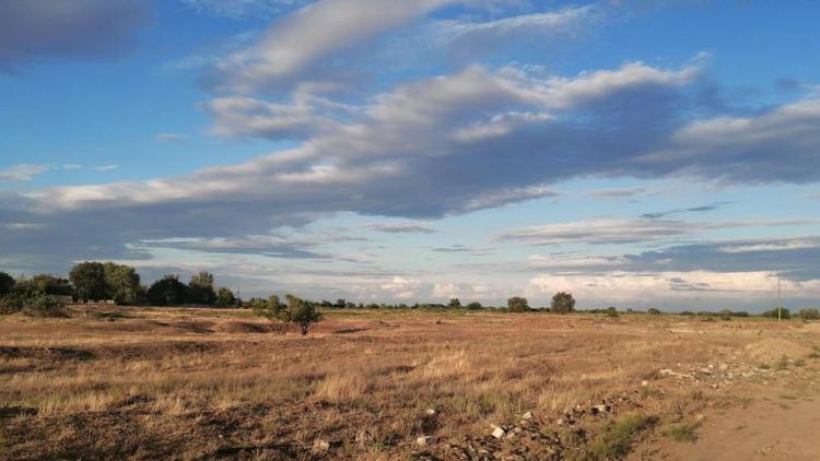 Жители Ставрополя хотели обманом продать участок земли