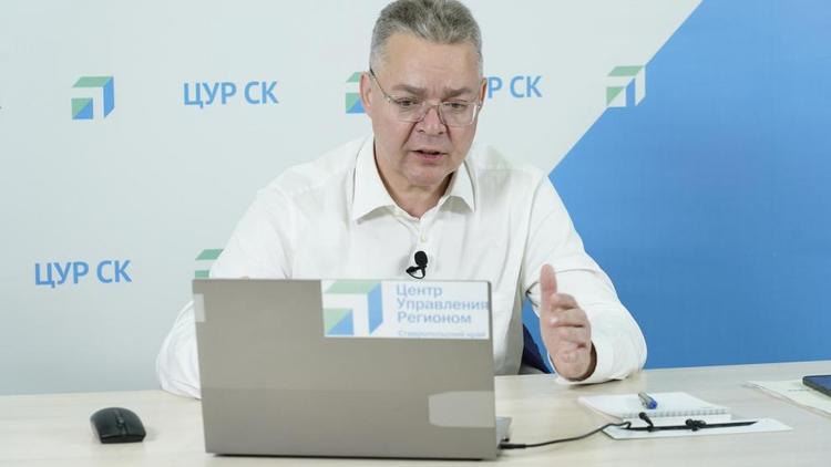 Губернатор Владимиров пообещал помочь Георгиевску с озеленением