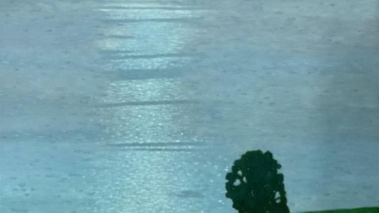 В Ставрополе действует персональная выставка пейзажиста Артёма Гребенщикова