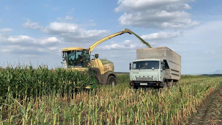 В Предгорном округе Ставрополья завершили заготовку кормов