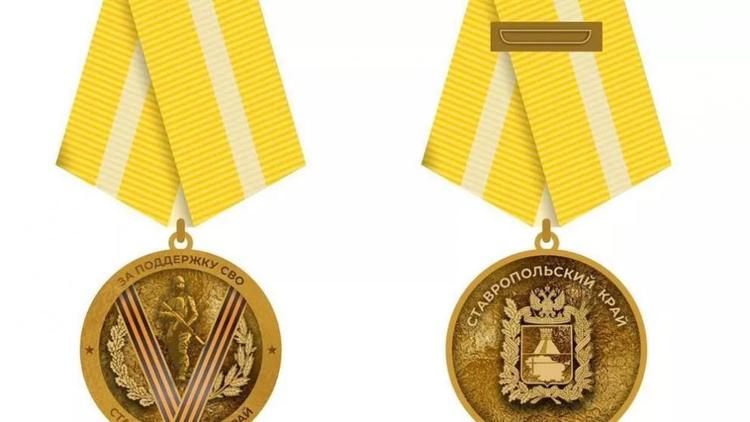 На Ставрополье ежегодно медалью «За поддержку СВО» будут награждать до 30 человек
