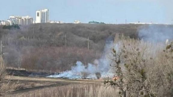 В Ставрополе потушили пожар в ботаническом саду
