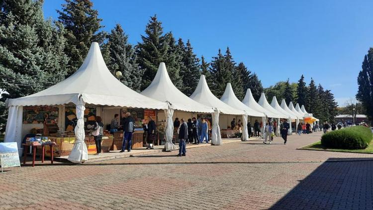 В Ставрополе на Крепостной горе пройдёт акция эковолонтёров
