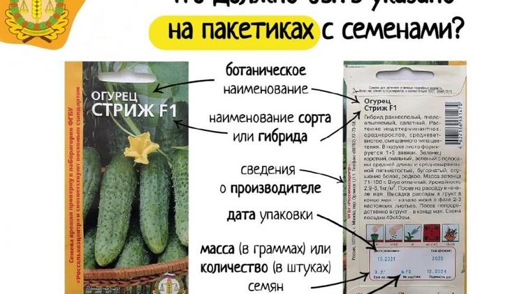 Ставропольским дачникам рассказали, какие семена взять для богатого урожая