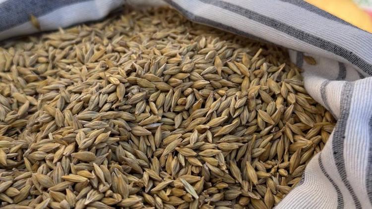 Ставропольский край перевыполнил план по экспорту продукции АПК